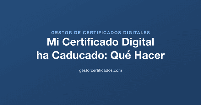 Mi Certificado Digital ha Caducado: Qué Hacer