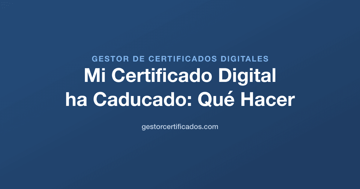 Mi Certificado Digital ha Caducado: Qué Hacer