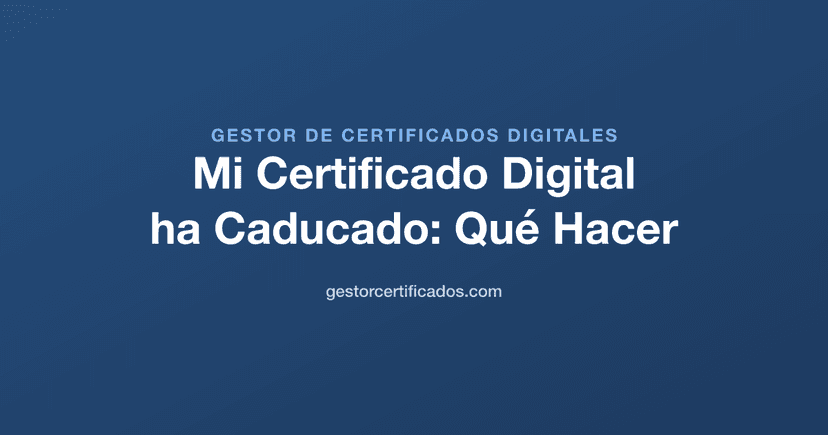 Mi Certificado Digital ha Caducado: Qué Hacer